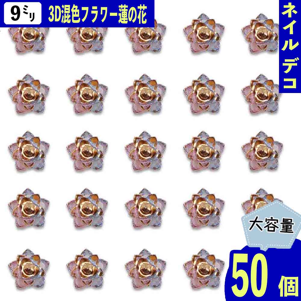 ޤȤ㤤ݥȯ ͥѡ  8mm ꥢ  50 ե     ϡβ Ω 3D...