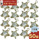 スター チャーム ゴールド 50個 星 チャームパーツ ほし ピアスパーツ イヤリングパーツ ネックレスパーツ アクセサリーパーツ ハンドメイドパーツ 手芸 （AP0256）