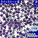 ＼本日ポイント10倍／【エントリーするだけ】 ラインストーン 星 3mm 紫 9000粒 プラ製 立体 ネイル レジン デコ ハンドメイド 手芸 パーツ BD3487