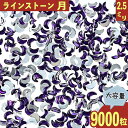 ＼本日ポイント10倍／【エントリーするだけ】 ラインストーン 紫 月 2.5mm 9000粒 プラ製 ネイル デコ 封入 レジン ハンドメイド パーツ BD3536