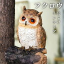 フクロウ 鳥よけ 鳩よけ ふくろう ガーデン 鳥よけグッズ フクロウ オーナメント 置物 ガーデン お洒落 可愛い 鳥対策 本物そっくり 樹脂 カラス対策 防鳥...
