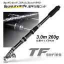 投げ竿 釣り竿 海釣り3m 振出 コンパクトロッド 船竿 携帯 軽量フィッシングロッド スピニングリール用(4)