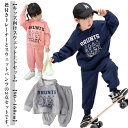 長ズボン 女の子 キッズ 上下セット 襟付き スウェットパンツ トレーナー 2点セット 男の子 部屋着 秋服 ルームウエア 長袖 子供服 パーカー セットアップ ジュニア 上下 90 100 110 120 130 140 150 スウェット 秋冬 秋服