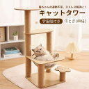 キャットタワー 据え置き 抗菌 消臭 スリム 大型猫 猫タワー ハンモック かわいい 爪とぎ ネコ 多頭飼い 子猫 省スペース 送料無料 ペット