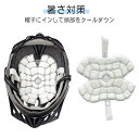 ヘッド クール ヘッドパッド クール 帽子 保冷剤 頭 冷却 アイス キャップ 熱中症対策 暑さ対策 ひんやりグッズ 冷却グッズ メンズ レディース