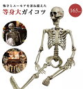 【人気商品】【楽天1位30冠達成】 ドクロ 人体模型 骸骨 ガイコツ 骨 等身大 置物 約165cm ホラー リアル 本格的 誕生日 飾り付け 室内 置物 人形 仮装 怖い 恐怖 スケルトン ホームパーティ 骨 ボーン 渋い かわいい クリスマス ハロウィン パーティーグッズ インテリア装飾