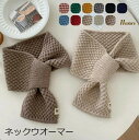 ネックウォーマー ミニ マフラー プチマフラー 差し込み マフラー 秋 冬 温活 カシミア 誕生日 ギフト プレゼント レディース かさばらない 短め