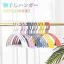【お得な100本組!】 物干しハンガー 滑り止め 物干 しハンガー すべらないハンガー すべらないハンガー 跡が付かないハンガー シルエットハンガー ニット 型...