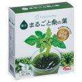 DNJ(R)まるごと桑の葉2g×30包青汁【桑葉青汁/ＤＮＪ(R)】