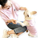 ・商品名 犬 服 夏用 ペット用品 メンズ レディース 男女兼用 夏服 Tシャツ ボーダーシャツ ペットとペア 犬とペア 猫とペア ペアルック・商品の特徴飼い主様とワンちゃんにゃんちゃんとの夢のペアルック登場です。部屋でも、公園でも、旅行先でも、ドッグランでも、いつも同じ服！・シーズンオールシーズン・サイズ表（人用）ワンサイズ 着丈：約67cm / 胸囲：116約cm・サイズ表（犬用）Sサイズ 着丈：約22cm / 胸囲：36約cmMサイズ 着丈：約25cm / 胸囲：40約cmLサイズ 着丈：約27cm / 胸囲：43約cmXLサイズ 着丈：約30cm / 胸囲：47約cm2XLサイズ 着丈：約33cm / 胸囲：50約cm3XLサイズ 着丈：約36cm / 胸囲：53約cm4XLサイズ 着丈：約38cm / 胸囲：56約cm・犬種トイプードル、チワワ、柴犬、豆しば、フレンチブルドッグ、シュナウザー、ダックスフンド、ヨークシャーテリア、バグ、ポメラニアンなど・注意事項・商品ページに記載されている商品情報については、入荷ロットなどにより若干の差異がある場合がございます。・お使いのブラウザや設定などにより、実際の商品との色の違いが生じる場合がございます。