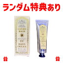 サンタールエボーテ UVハンドクリーム ホワイトティー