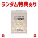 ハタ乳酸菌 2g×30包