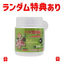 【リニューアル】ハタ乳酸菌 FOR PETS(犬・猫用)60g