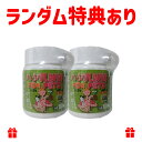 〔NS〕ハタ乳酸菌 FOR PETS ペット用 60g(計量スプーン付)×2個セット