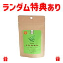 創健社 モリンガのチカラタブレット 25g