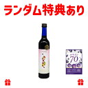 マナ酵素 500ml × 1本 ルテイン サプリメント 70mg 60粒 30日分 パウチ付 ファスティングライフ 酵素飲料 ファスティング ドリンク MANA...