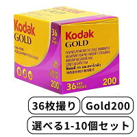 Kodak コダック ゴールド Gold200 - 135 - 36枚撮 カラー ネガ ネガフィルム フィ...