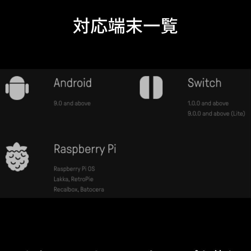 8BitDo Lite2サムネイル3