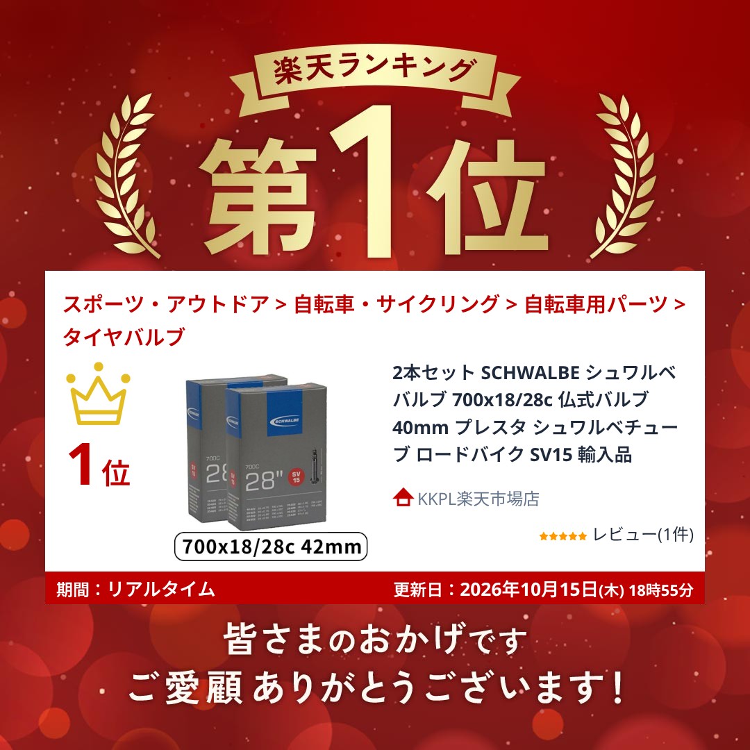 【10/9まで★エントリーで2人に1人最大100%還元】 2本セット SCHWALBE シュワルベ ...