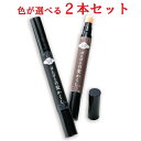 生え際専用ぽんぽん白髪かくし_(2本セット) ナチュラルブラック 4560164885401 グリム