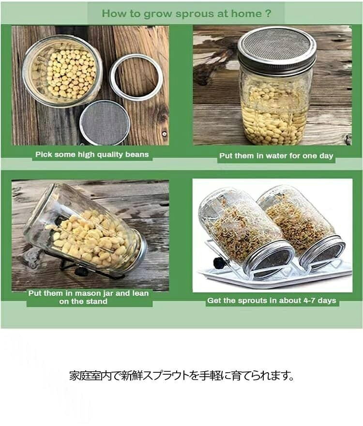24H限定★2点購入で20％OFFクーポン メイソンジャー 発芽ガラス スプラウト栽培キッ...