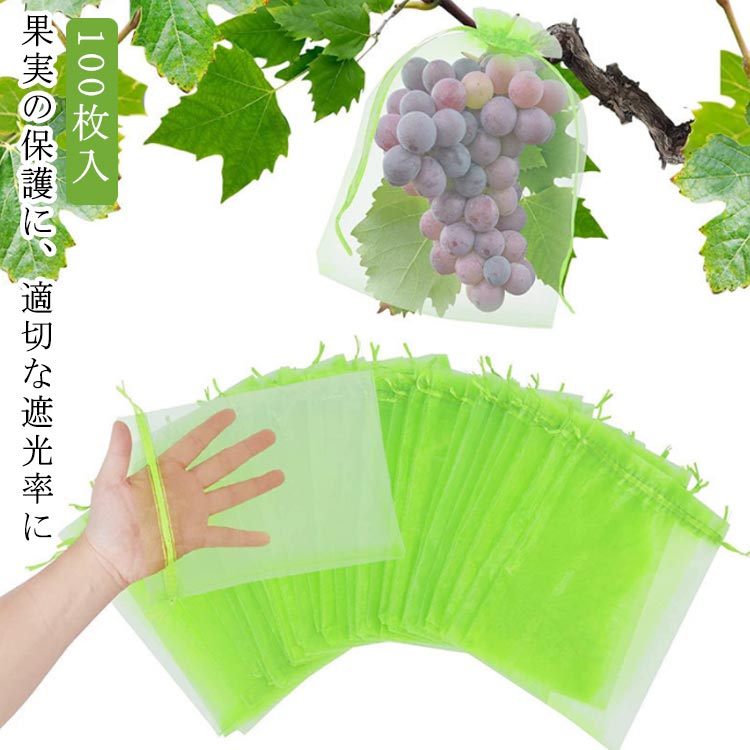 果実袋 100枚入 果実 掛け袋 防虫 果樹用資材 果物袋 野菜 果物保護ネット メッシュ袋 メッシュバッグ 植物フルーツ保護バッグ 害虫 防鳥 巾着 結びやすい 種入れ 多 極細穴 鳥よけ網