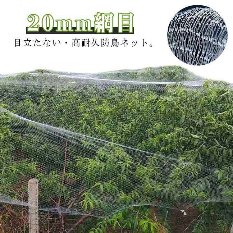 防鳥ネット 防鳥網 ナイロン 透明網 2×30m 3×20m ベランダ 鳥よけネット カラス避け 鳩避け 鳥避け 猫脱走防止 野良猫侵入防止 菜園鳥よけ 果樹園鳥よけ網 頑丈 耐久性 果 田畑 農作物