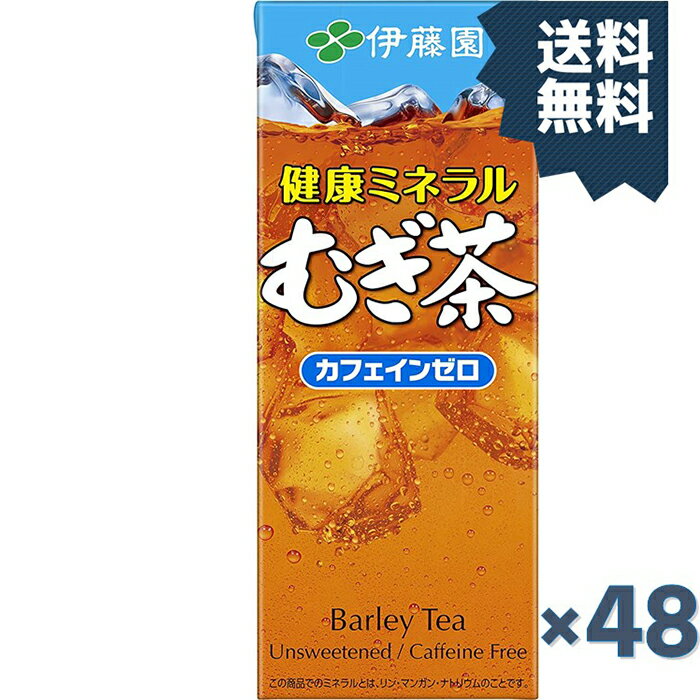 伊藤園 健康ミネラルむぎ茶 250ml紙パック×24本入×(2ケース)