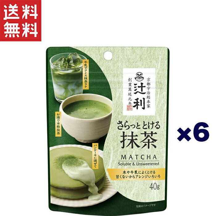 片岡物産 辻利 さらっととける抹茶（袋）40g×6個