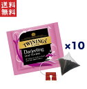 トワイニング ダージリン 紅茶 三角リーフティーバッグ 10袋入 香り豊かで洗練された味わい 送料無料 週変わりクーポン配布!!1,000円ポッキリ