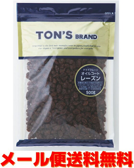 東洋ナッツ食品 トン レーズン 500g
