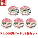 送料無料 週変わりクーポン配布!! 1,000円ポッキリ ホテイ 無添加サラダチキン 備蓄品 健康食品 無添加 水煮 5缶パック ホテイフーズ 【D】非常食 保...