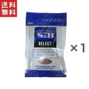 S＆B　セレクト スパイストッピング　エスニックテイスト　100g×1袋