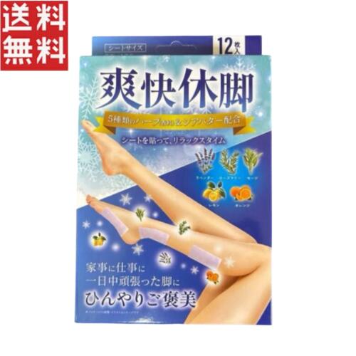 立ち仕事や長時間の歩行後の脚を、ひんやり心地よくリフレッシュできる冷却シートです。 高含水ジェルが熱を逃がしながら、メントールの清涼感で脚をすっきりクールダウン。 おやすみ前に「ふくらはぎ」「足首」「足の裏」など気になる部分に貼るだけで、翌朝までひんやり感が続き、がんばった一日の脚ケアにおすすめです。 使用上の注意 ・お肌に異常がある部位、傷口、湿疹、かぶれなどには使用しないでください。 ・使用中または使用後に、赤み、かゆみ、痛み、刺激等の異常があらわれた場合は、直ちに使用を中止してください。 ・小さなお子様や肌の弱い方が使用される際は、様子を見ながらご使用ください。 ・目の周りや粘膜部位には貼らないでください。 ・長時間の連続使用や、同じ部位への貼りっぱなしはお避けください。