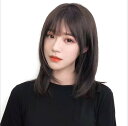 ネット 付き セミロング ウィッグ ストレート 耐熱