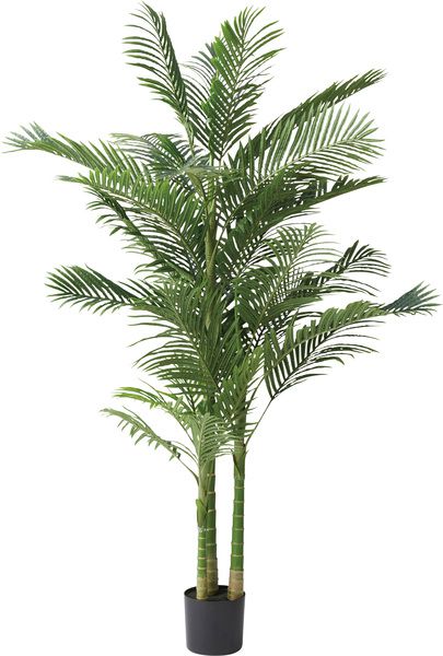 アレカヤシ 観葉植物 フェイクグリーン アレカヤシ 観葉植物 植物 緑 グリーン 癒し 植木 インテリア ガーデニング カフェ 店舗 簡単 枯れない オフィス 会社 エントランス 人気 樹木 ギフト プレゼント 新生活 北欧 おしゃれ　※要在庫確認 ※代引不可 【※配送料 別途お見積り商品※】