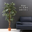 観葉植物 フィカス 1124 B フェイクグリーン 植物 緑 グリーン 癒し 植木 インテリア ガーデニング おしゃれ ガーデン カフェ リビング プランター ...