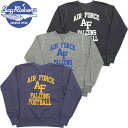 バズリクソンズ セットイン クルー スウェット AIR FORCE FALCONS BR69289 / BUZZ RICKSON 039 S SET-IN CREW NECK SWEAT SHIRTS AIR FORCE FALCONS