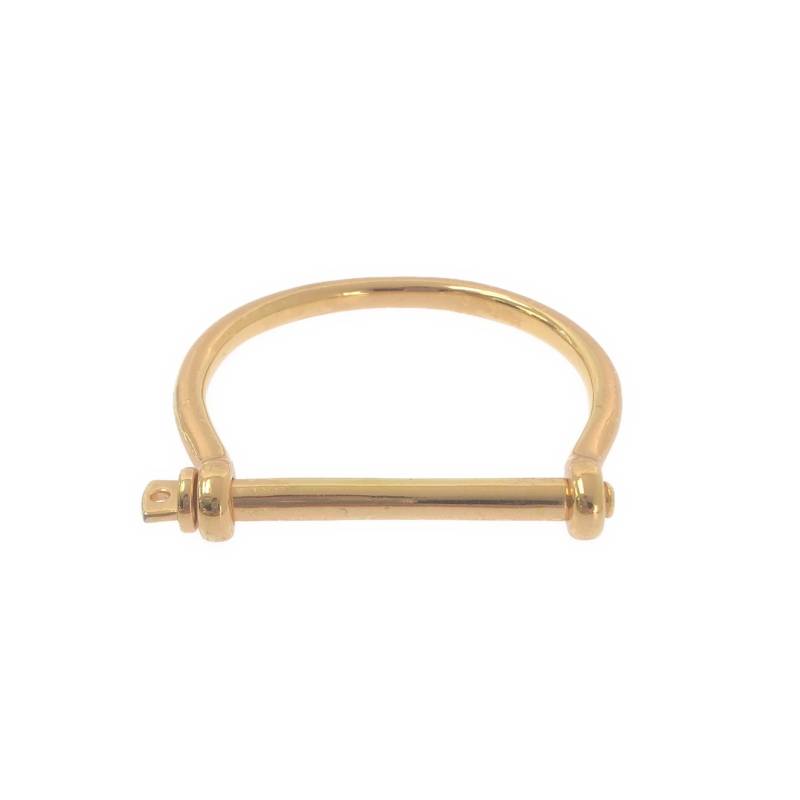 新品 Miansai ミアンサイ Lev Lion ライオン ネックレス