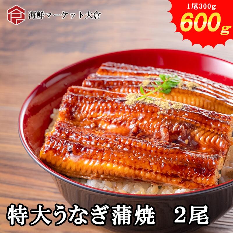 ̵ʤʤʥˤʤڤȤ1kg500g2˥ݥ˥錄äפ