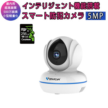 小型 防犯カメラ ワイヤレス C22Q SDカード256GB同梱モデル VStarcam 500万画素 ONVIF対応 超高画質 超高精細 wifi 無線 MicroSDカード録画 録音 遠隔監視 赤ちゃん 子供 ペット 屋内用 IP カメラ PSE認証 6ヶ月保証