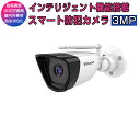 防犯カメラ ワイヤレス C55S VStarcam 2K 1296p 300万画素 ONVIF対応 wifi 無線 MicroSDカード録画 録音 超高画質 超高精細 屋内外兼用 遠隔監視 動体検知 人体検出 オフィス 店舗 赤ちゃん 子供 ペット IP カメラ 6ヶ月保証