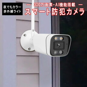 防犯カメラ ワイヤレス CS58 VStarcam 2K 1296p 300万画素 ONVIF対応 wifi 無線 MicroSDカード録画 録音 超高画質 超高精細 屋内外兼用 遠隔監視 動体検知 人体検出 オフィス 店舗 赤ちゃん 子供 ペット IP カメラ PSE 6ヶ月保証 SDL