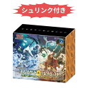 【新品未開封/シュリンク付き】ポケモンカードゲーム ジムセット スノーハザード & クレイバースト ナンジャモセット BOX ボックス ポケカ ナンジャモジムセット ポケモンセンター