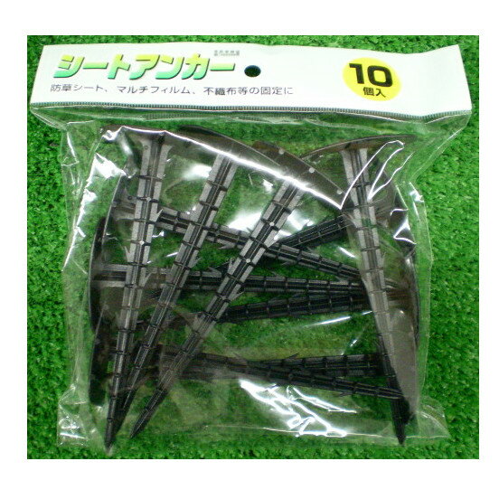 �����ȥ��󥫡��ʥ����ȥԥ��10����