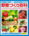 野菜づくり百科