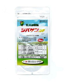 シバゲンDF　20g【有効期限27年10月】