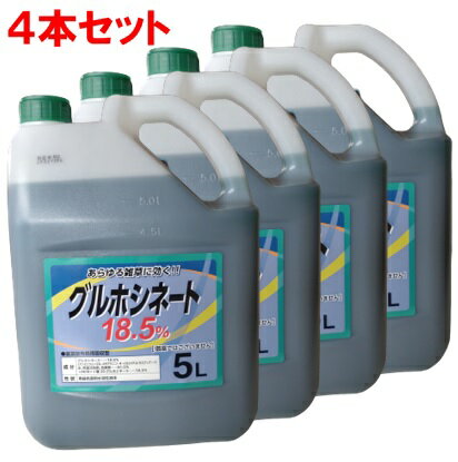 タッチダウンIQ　5L