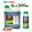 【数量限定】バスタ液剤 5L【有効期限28年10月】+500ml【有効期限27年10月】お昼12時00分までのご注文、決済処理完了で当日発送(休業日除く)