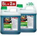 バスタ液剤 5Lx2本セット【有効期限2028年10月】お昼12時00分までのご注文、決済処理
